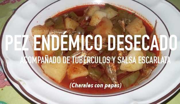 10 platillos mexicanos como los encontrarÃas en la roma/condesa ... Platos mexicanos gourmet
