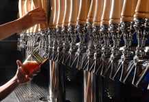 Fiebre de Malta Polanco fiebre de malta