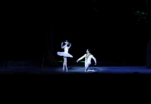 ¿Qué hacer el fin de semana? El Lago de los Cisnes, gratis en la UNAM el lago de los cisnes