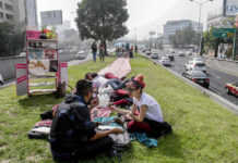 ¿Por qué habrá picnic masivo en Viaducto? picnic