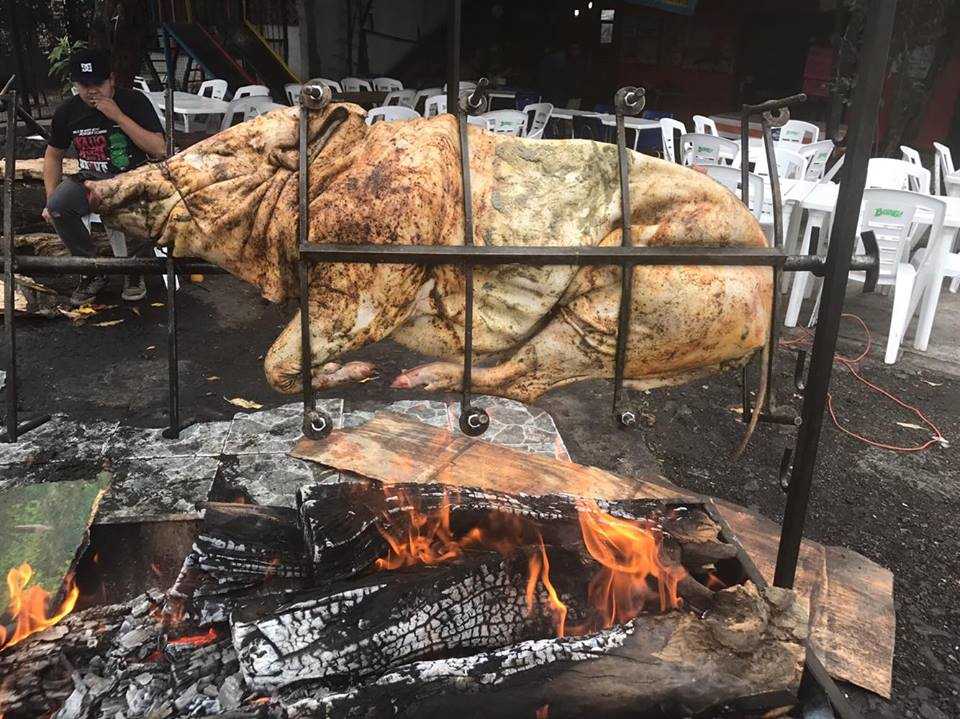 El Cerdo Mareado