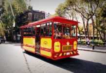 recorrido de mezcales