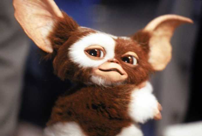 Gremlins La tercera película de Gremlins tendrá el mismo toque oscuro que la primera porque será del mismo guionista.