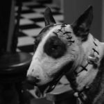 sparky-frankenweenie
