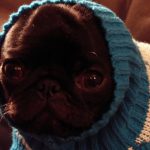 parque-mexico-condesa