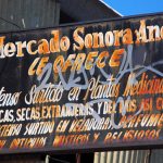 mercado-de-sonora