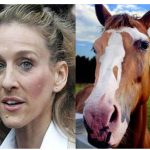 sex-the-odio-aburren-peliculas-de-caballos