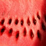 semillas-en-la-fruta