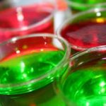 the-dramatics-in-the-rain