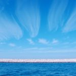 quiere-azul-celeste-que-le-cueste