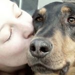 los-perros-desconocen