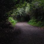 para-escribir-un-best-seller