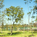 parque-bicentenario