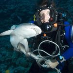 9-pasaditos-de-lanza-en-video