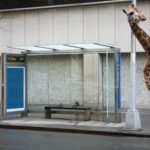 de-vuelta-a-lo-basico