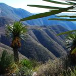 un-desierto-lleno-de-vida