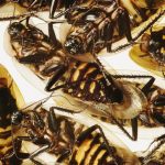 lo-mejor-de-lo-que-dijeron-en-twitter