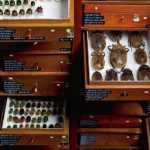 sala-biologa-maria-eugenia-diaz-batres