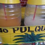 por-los-caminos-del-sur