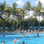 vayan-a-hacer-olas-fuera-del-df