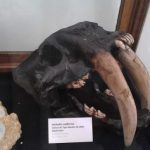 cultura-y-diversion-para-chicos-y-grandes