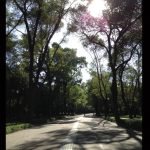 descubran-274-hectareas-o-de-menos-182