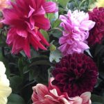 156-anos-de-la-feria-de-las-flores-de-san-angel