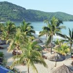 nada-con-delfines-y-pasea-en-lancha