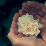 tu-vida-es-un-capitulo-de-la-rosa-de-guadalupe