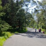 conectense-con-la-madre-naturaleza-hermanos