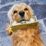 20-cosas-que-no-sabias-de-la-reforma-fiscal