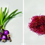 el-mercado-de-san-juan