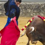 y-en-espana-la-tauromaquia-ya-es-patrimonio-cultural