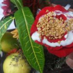 el-mercado-de-san-juan-en-bonus-creative