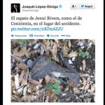 top-5-de-fails-de-famosos-en-twitter