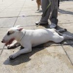 una-relacion-verdaderamente-dificil