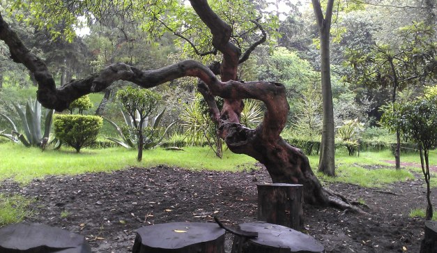 ecoturismo-en-el-df