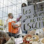 prohiben-animales-en-circos-del-df