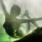 la-pelicula-mas-larga-del-mundo