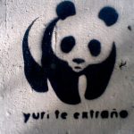 se-convirtio-en-una-celebridad