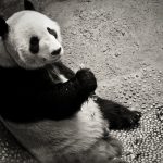 un-presidente-le-habia-puesto-cancun