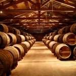 codigos-para-la-marcha-del-centauro