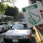 la-fauna-de-los-cruceros-de-la-capirucha