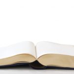 amigovio-papichulo-y-wifi-ya-son-aceptados-por-la-rae