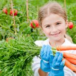 conoce-con-tus-hijos-un-huerto-urbano