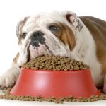 domingo-7-de-diciembre