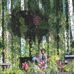 imperdibles-de-bahidora