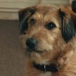 robin-williams-hizo-el-doblaje-de-un-perro-en-absolutely-anything