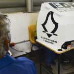 despues-de-la-spotiza-les-decimos-para-que-sirve-votar