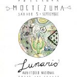 porter-se-presentara-en-el-lunario